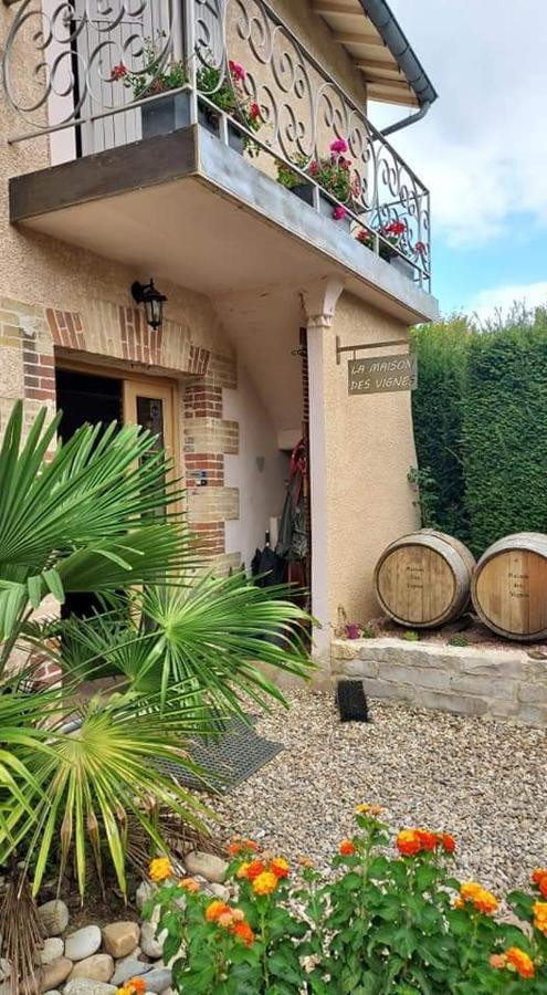 La Maison Des Vignes Charentay Ngoại thất bức ảnh