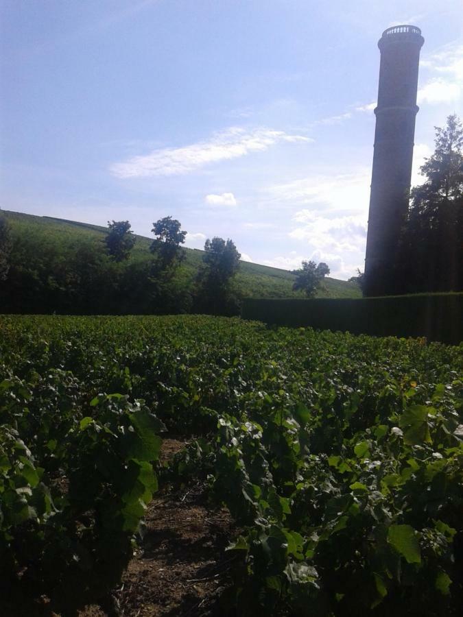 La Maison Des Vignes Charentay Ngoại thất bức ảnh