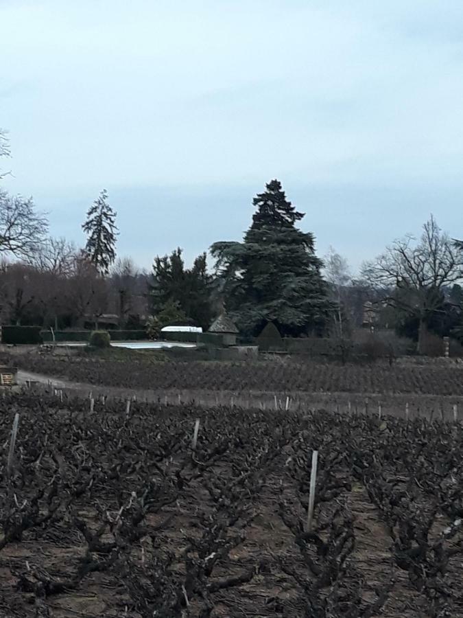 La Maison Des Vignes Charentay Ngoại thất bức ảnh